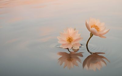 L’Ennéagramme… parlons-en
